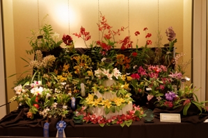 American Orchid Society Artistic Certificate Long Beach Armateur Orchid Society AC/AOS 0 pts.